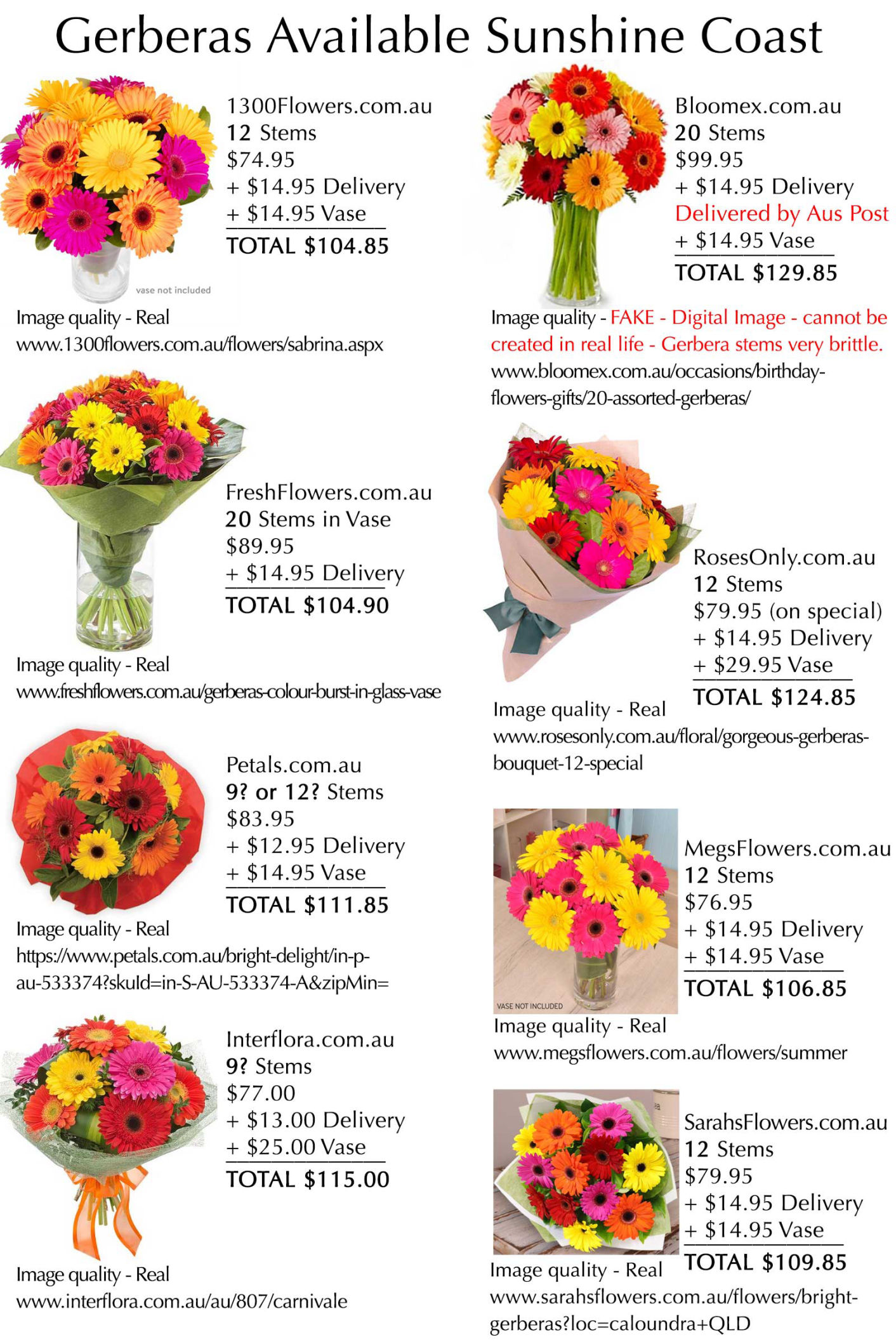 GERBERA ROGUES