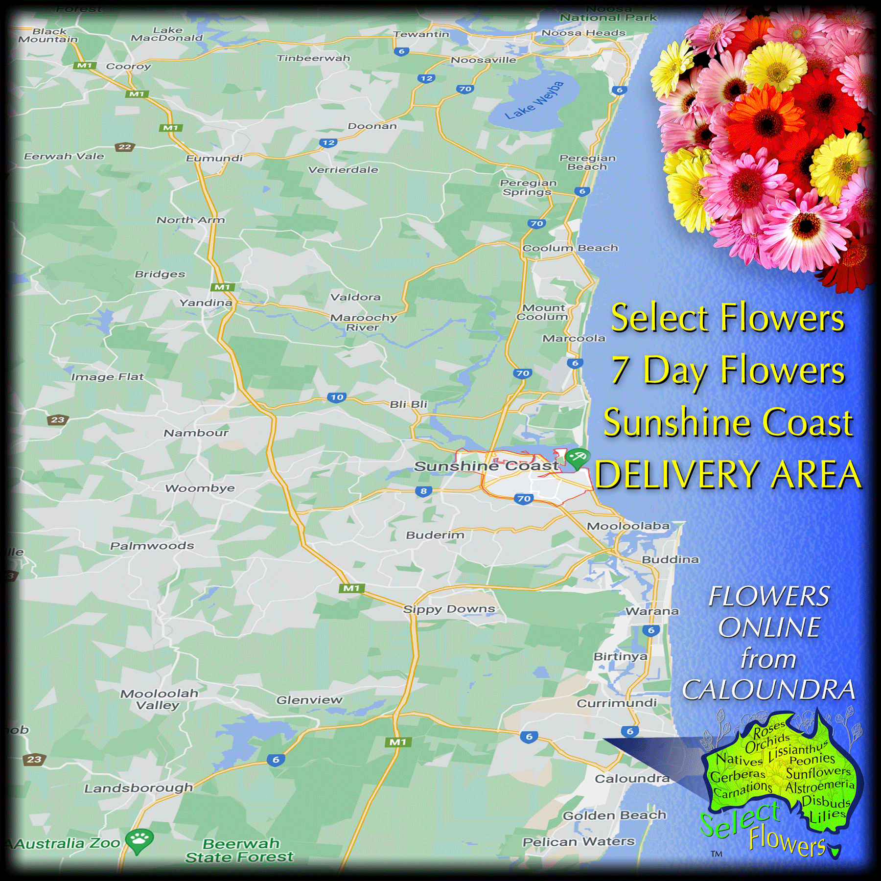 DELIVERY REGION