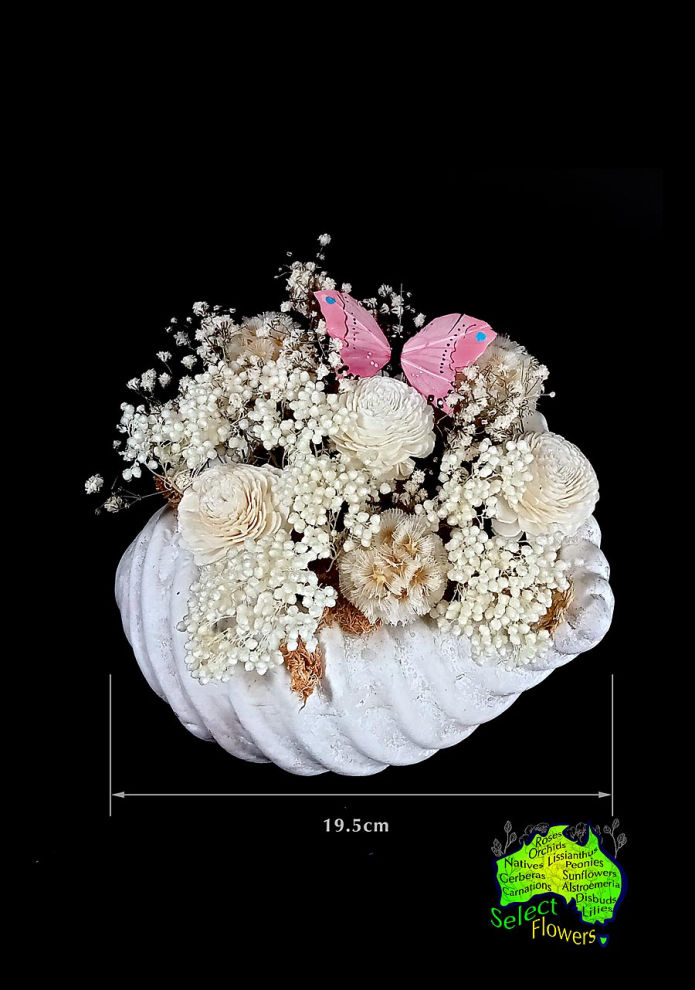 DRIED FLOWERS in 19.5cm SHELL